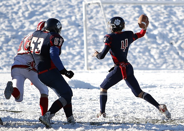 典型案例 典型案例