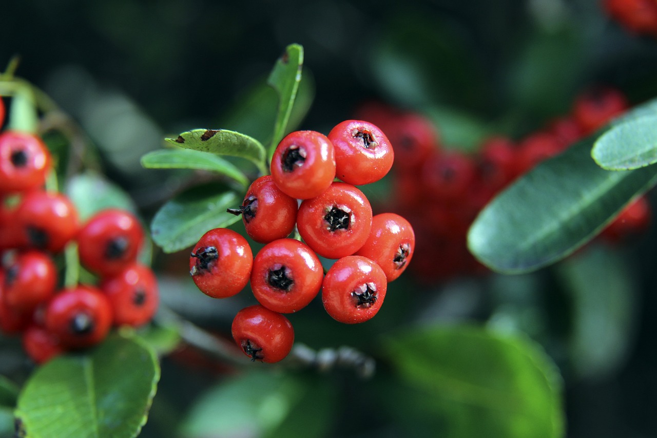 整体竞争力 整体竞争力